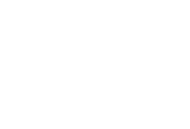 Not a Number Logo